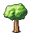 Shape 6