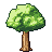 Shape 8